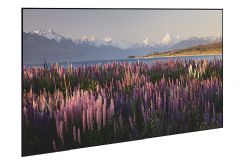 ����(gu��)InfoCommͶӰ�a(ch��n)ƷBest of Show��(ji��ng)